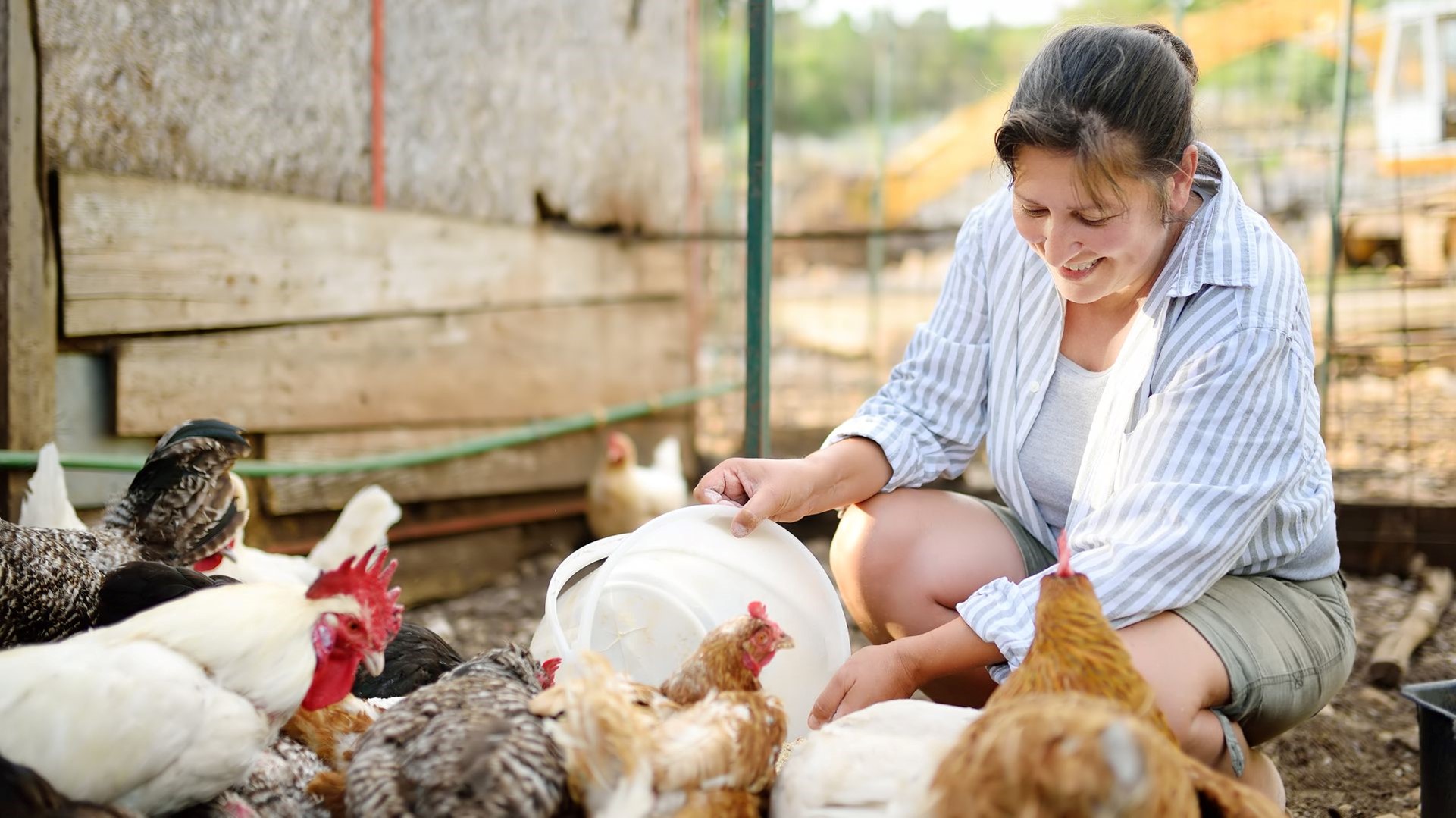 Self-Sufficient Living – Woman Feeding Chickens
